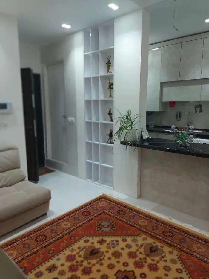 آپارتمان یک خوابه آرین 13 - ورودی حال