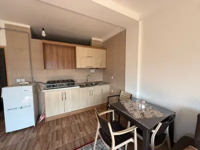 سوئیت یک خوابه طبیعت اتر