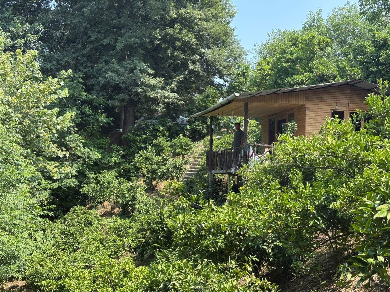 یک خوابه آریسا 1