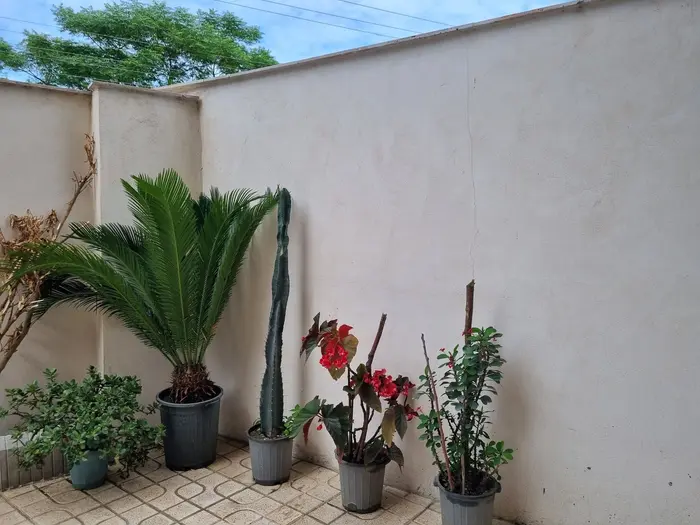 ویلا دوخوابه یاس 01 - حیاط