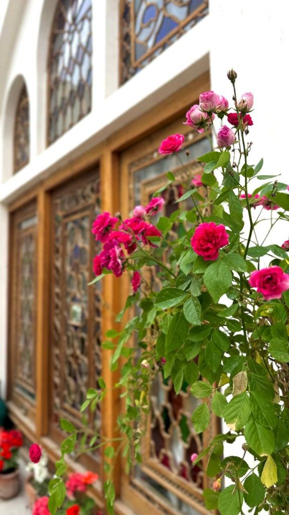 شاهان - واحد 13 استاندارد اکونومی