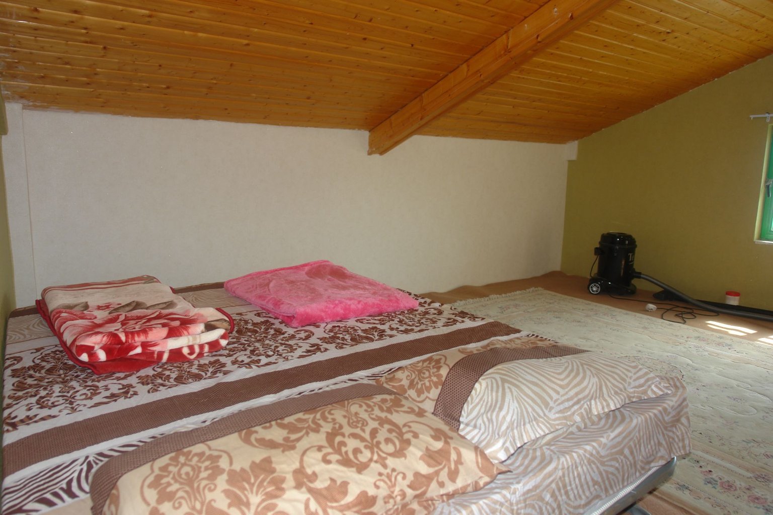 فلت شیروانی