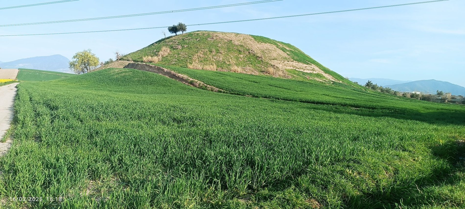 ویلا یک خوابه استخردار آبگرم الماس