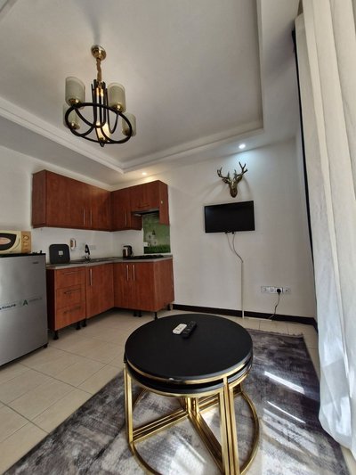 آپارتمان یک خوابه واحد ۱ هیرمند