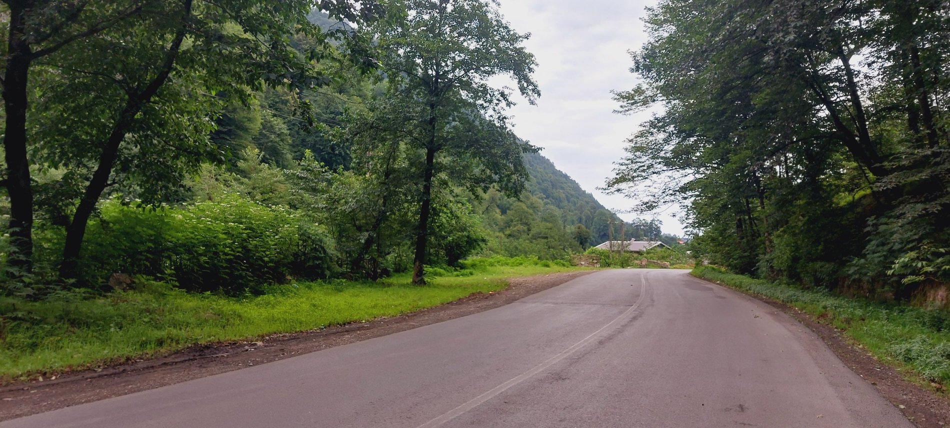 ویلا دوخوابه جنگلی رایان 2