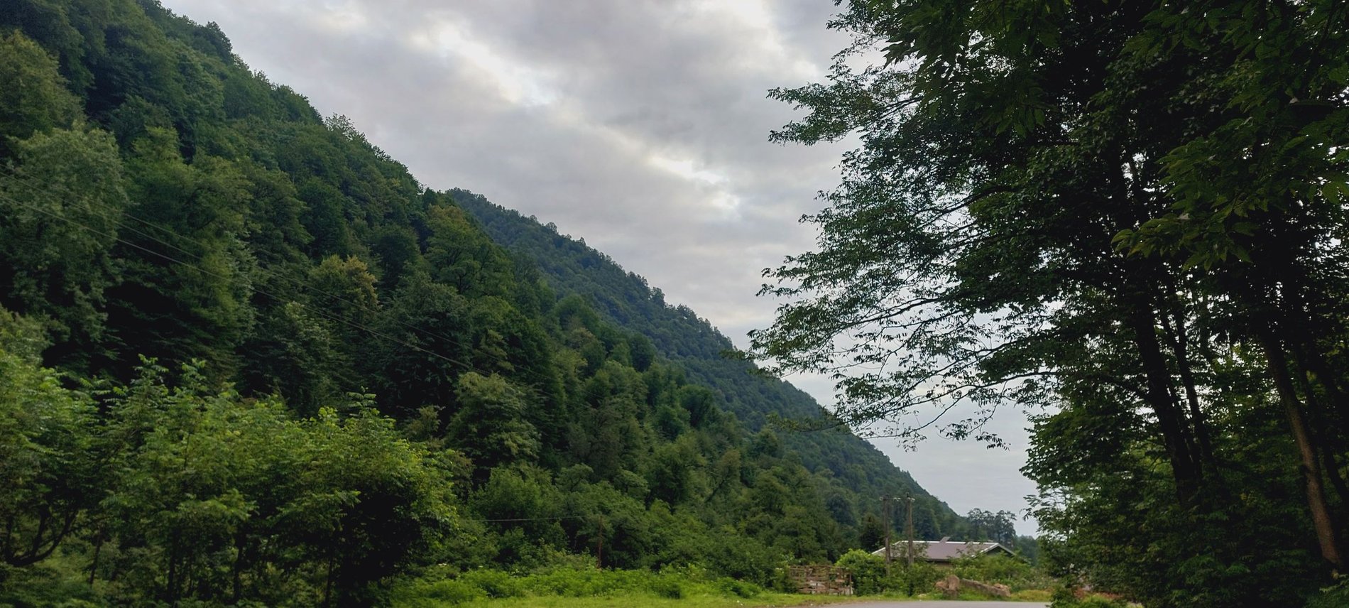 ویلا دوخوابه جنگلی رایان 2