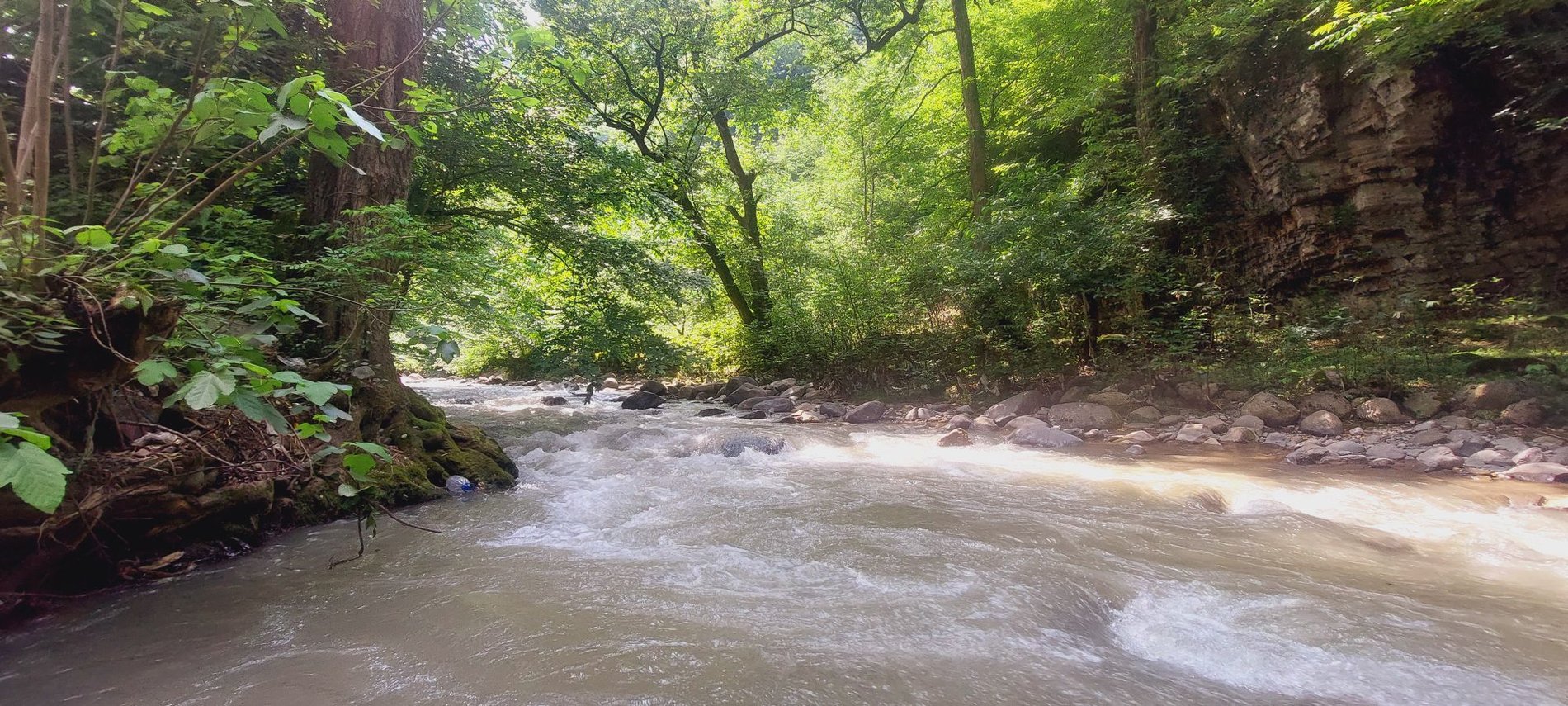 ویلا دوخوابه جنگلی رایان 2