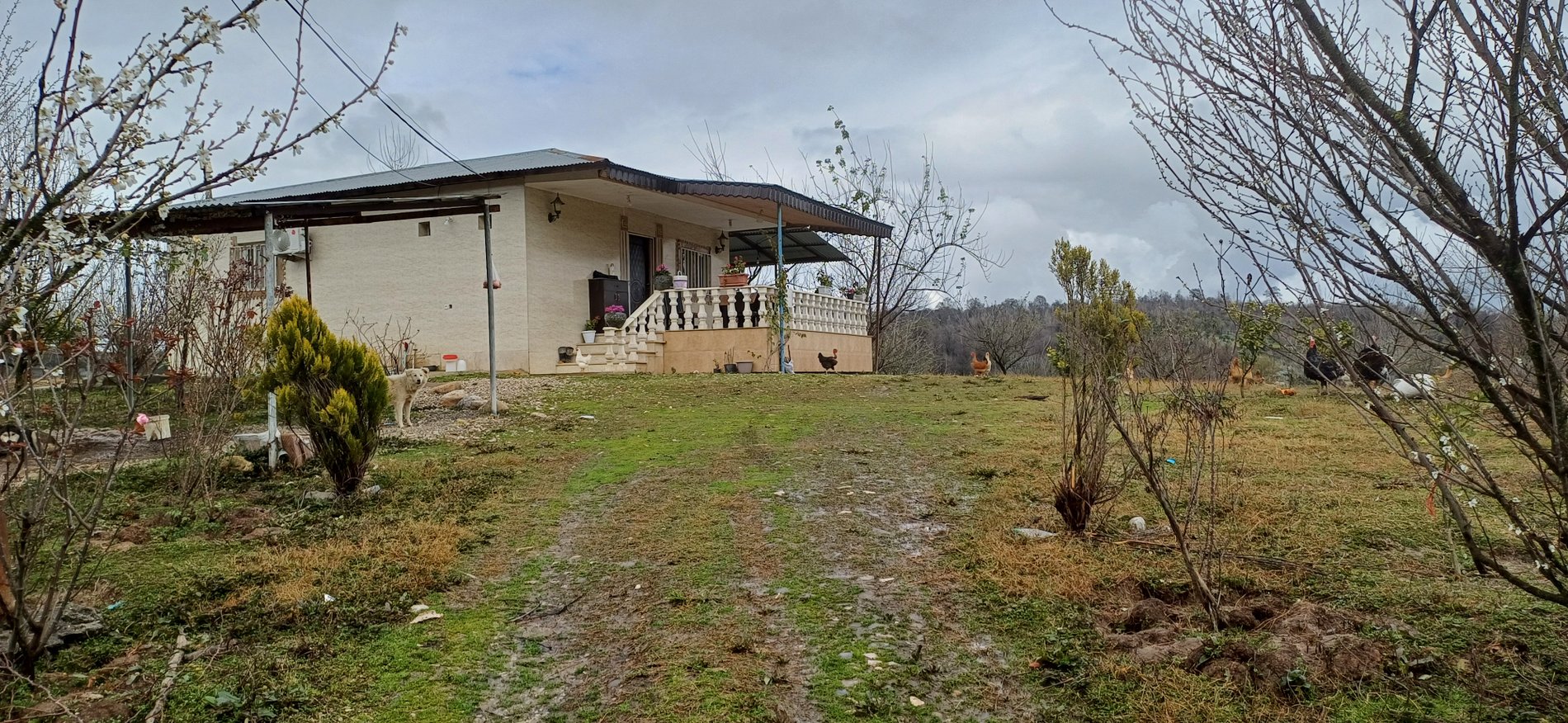 ویلا یک خوابه خان سالار