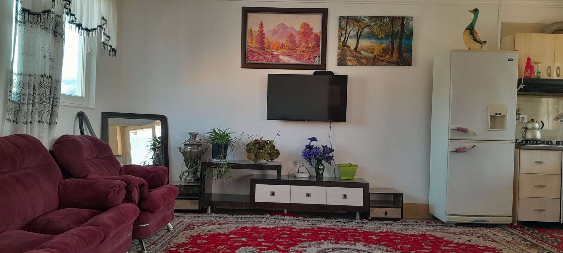 آپارتمان یک خوابه روستایی زیولا