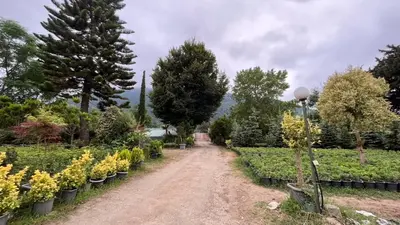 سوئیت دوخوابه کنتیا واحد 1