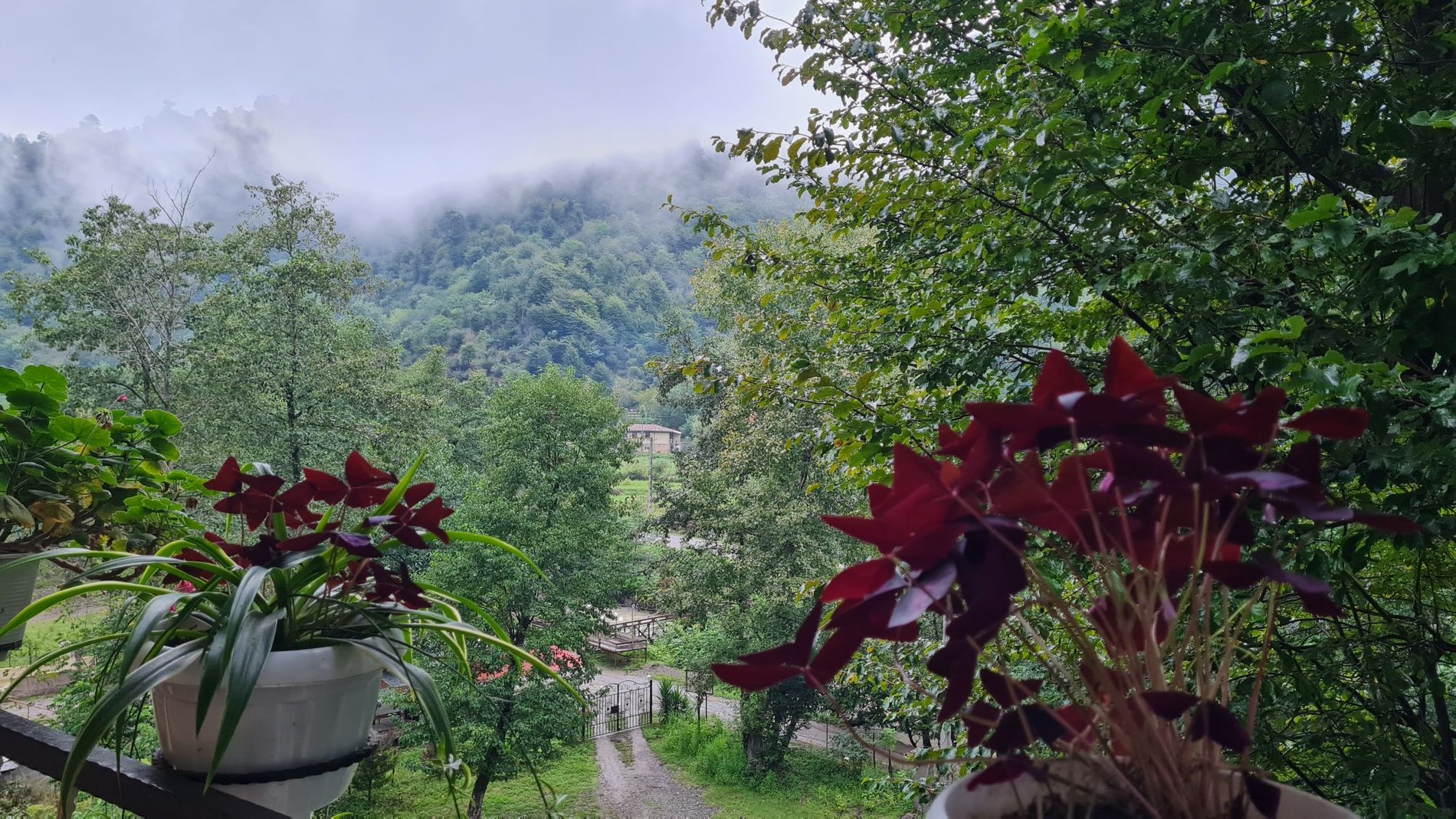 ویلا سه خوابه استخردار آبگرم باغ توسکا