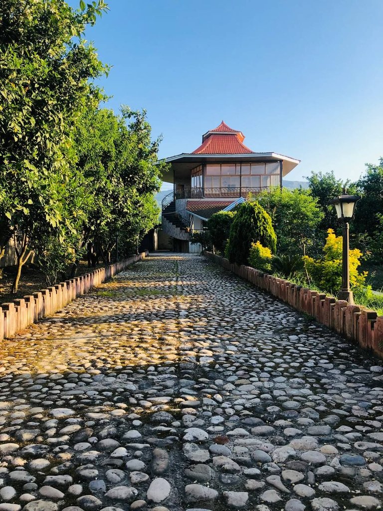 دوخوابه گلوگاه 2