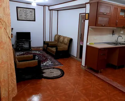 آپارتمان یک خوابه دیزین اسنو