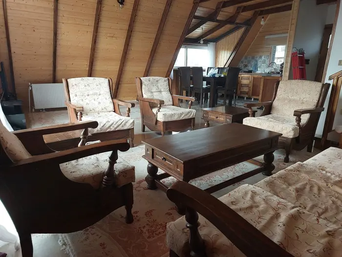 کلبه دوخوابه سوئیسی دلفان