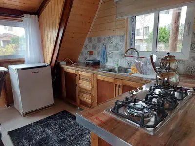 کلبه دوخوابه سوئیسی دلفان