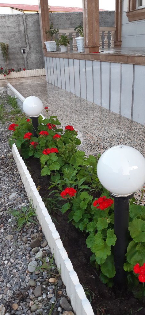 ویلا دوخوابه سهابانو