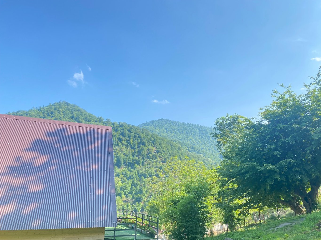 کلبه یک خوابه سوئیسی پدرزرگ