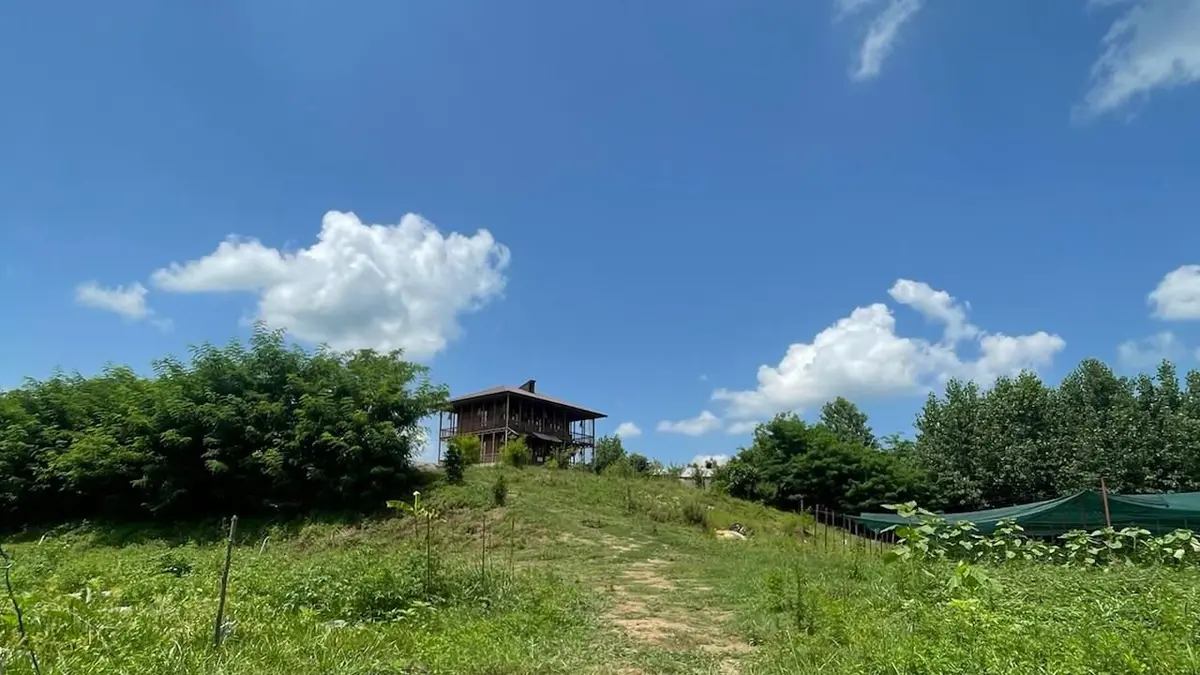 بوم گردی دلژین - واحد آسمان