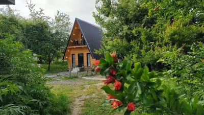 کلبه یک خوابه سوئیسی آوینا