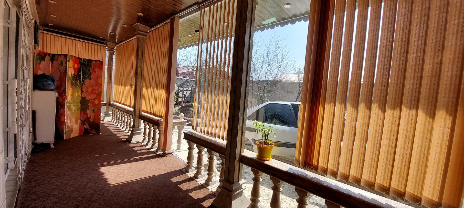 فلت محمد زاده