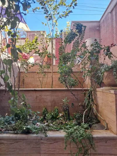 آپارتمان یک خوابه کیان 77