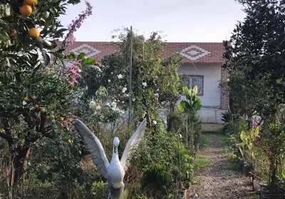 ویلا سه خوابه خانه باغ روسنایی