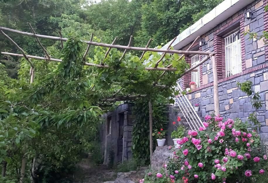 یک خوابه ایسو