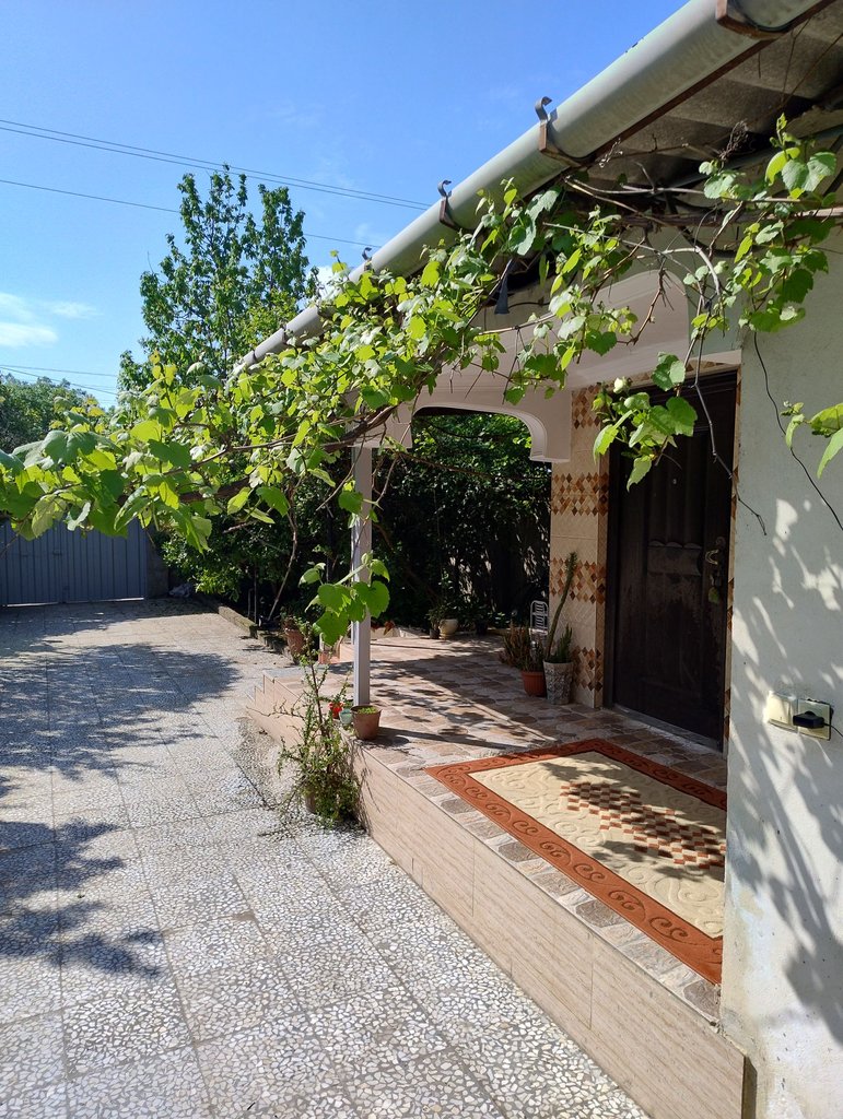 ویلا یک خوابه باغ حکمت