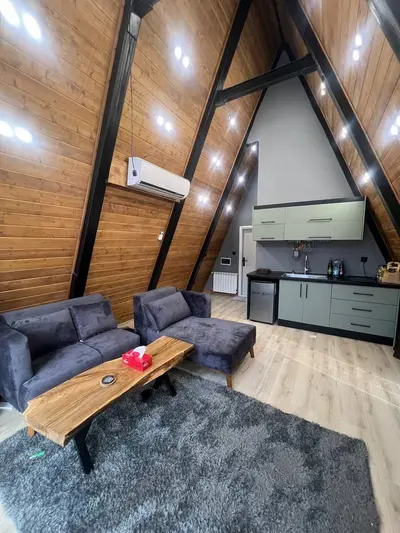 کلبه یک خوابه جنگلی شوپه 2