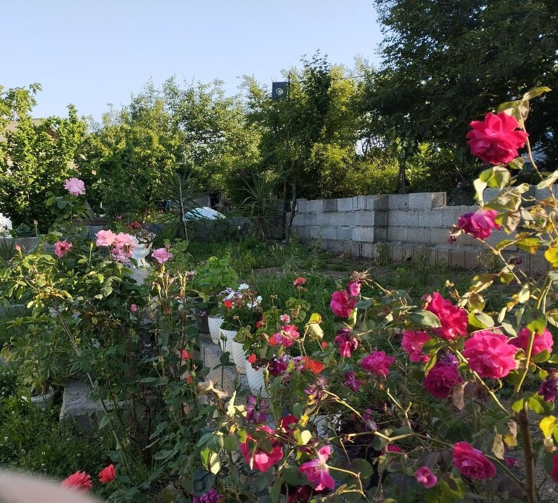 ویلا دوخوابه یسنا 2