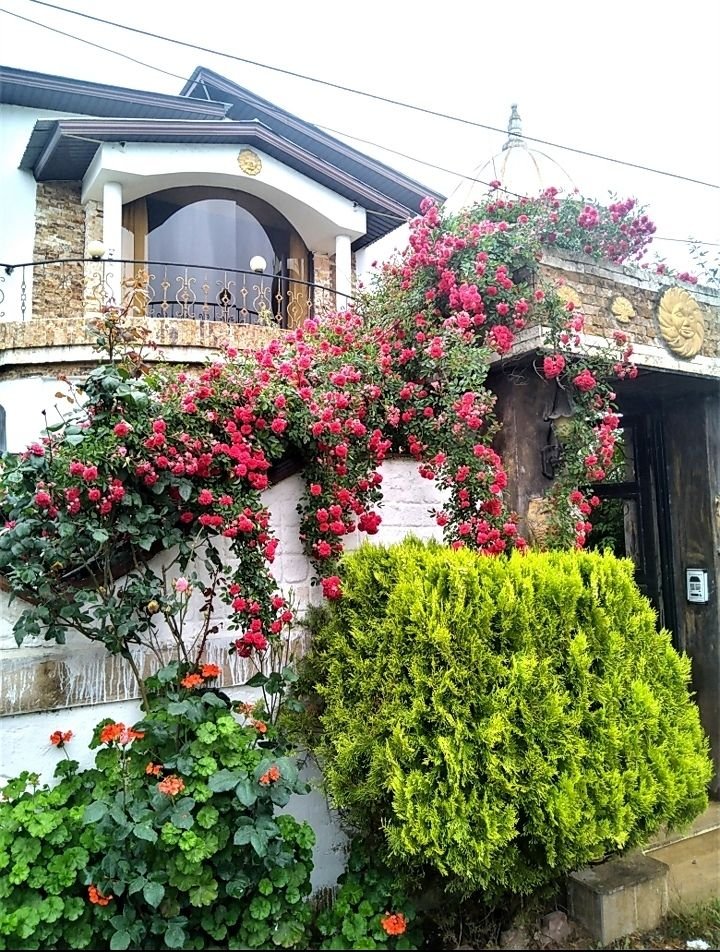 ویلا دوخوابه گالش پل