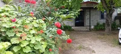 سوئیت دوخوابه آبشارلوه