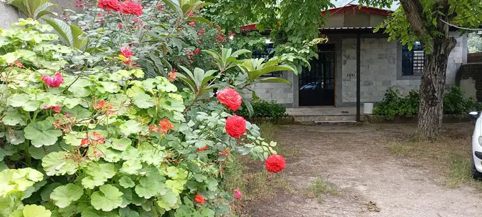 سوئیت دوخوابه آبشارلوه