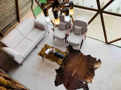 کلبه یک خوابه استخردار آبگرم سوئیسی اکتور