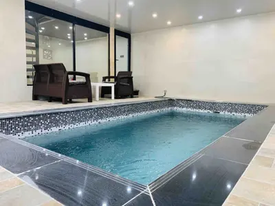 کلبه یک خوابه استخردار آبگرم سوئیسی اکتور