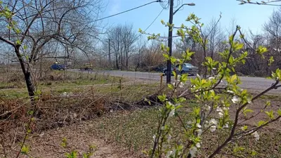 سوئیت یک خوابه درخشان 5