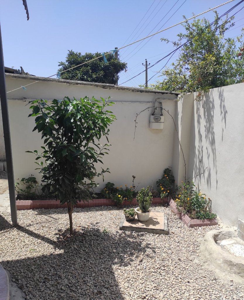 ویلا دوخوابه لوکس نیلوفر فرح آباد