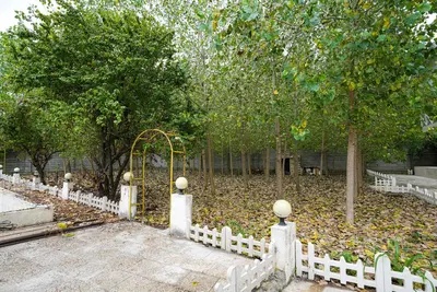 اقامتگاه سنتی اقامتگاه سنتی داریوش - خواب