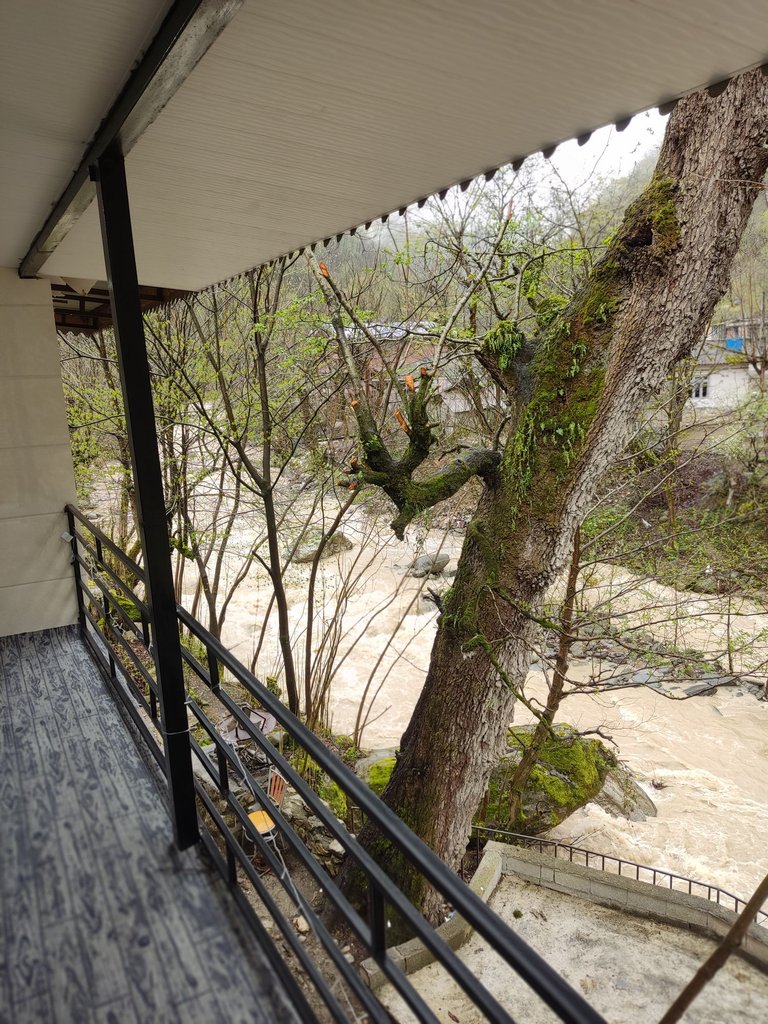 ویلا دوخوابه جنگلی لب رودخانه گیجاو 2 - ویوتراس به رودخانه