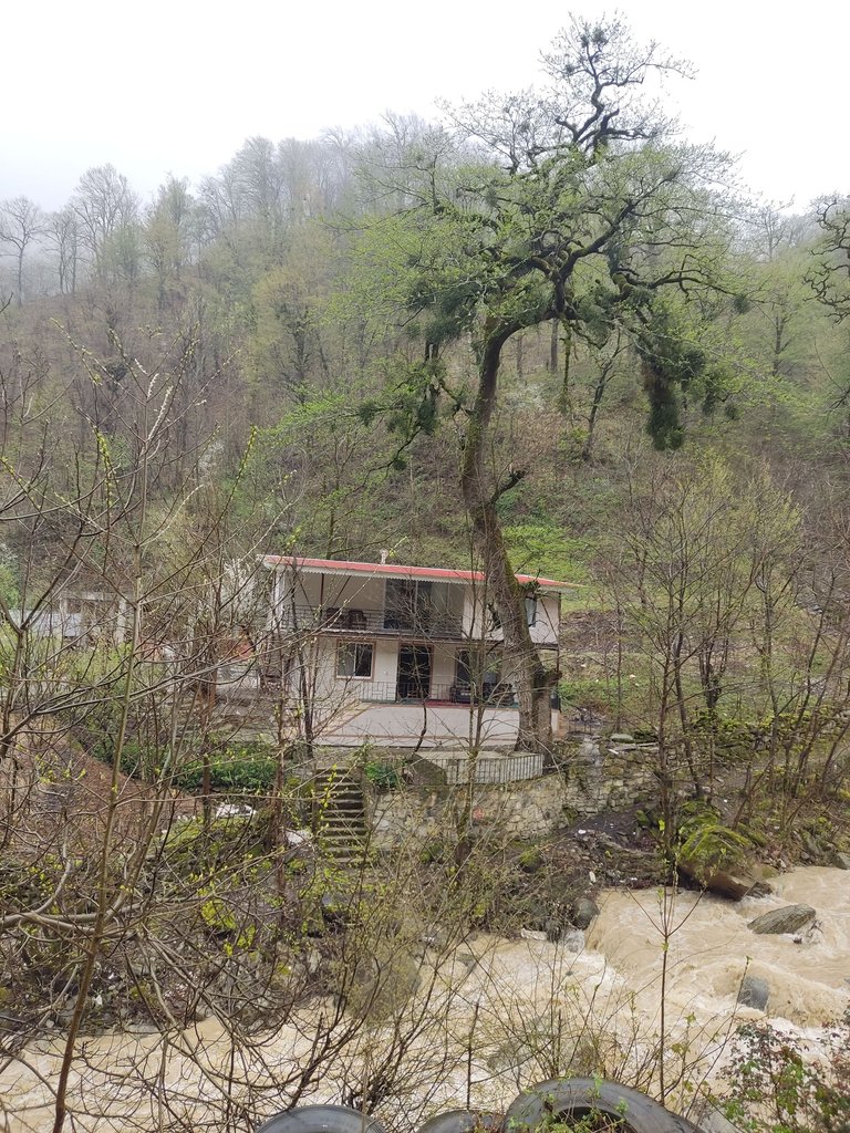 ویلا دوخوابه جنگلی لب رودخانه گیجاو 2