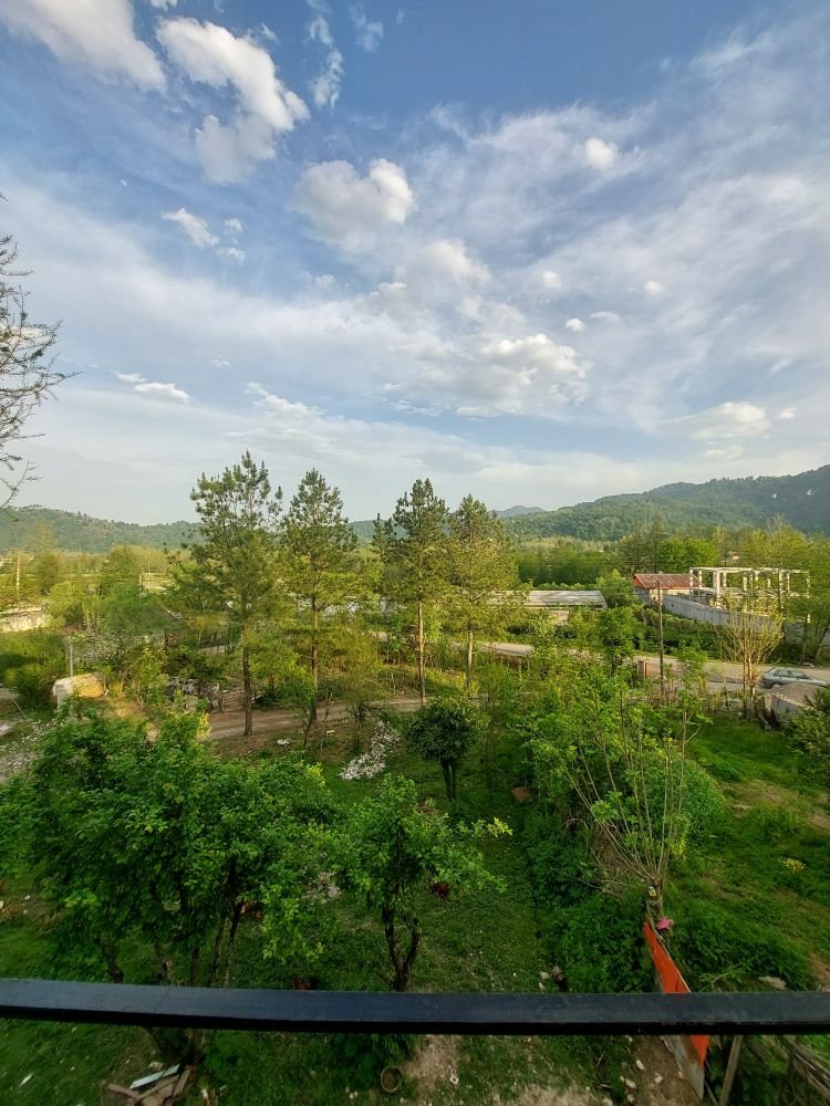 یک خوابه جنگلی سینا