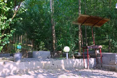 کلبه یک خوابه جنگلی یاس 3