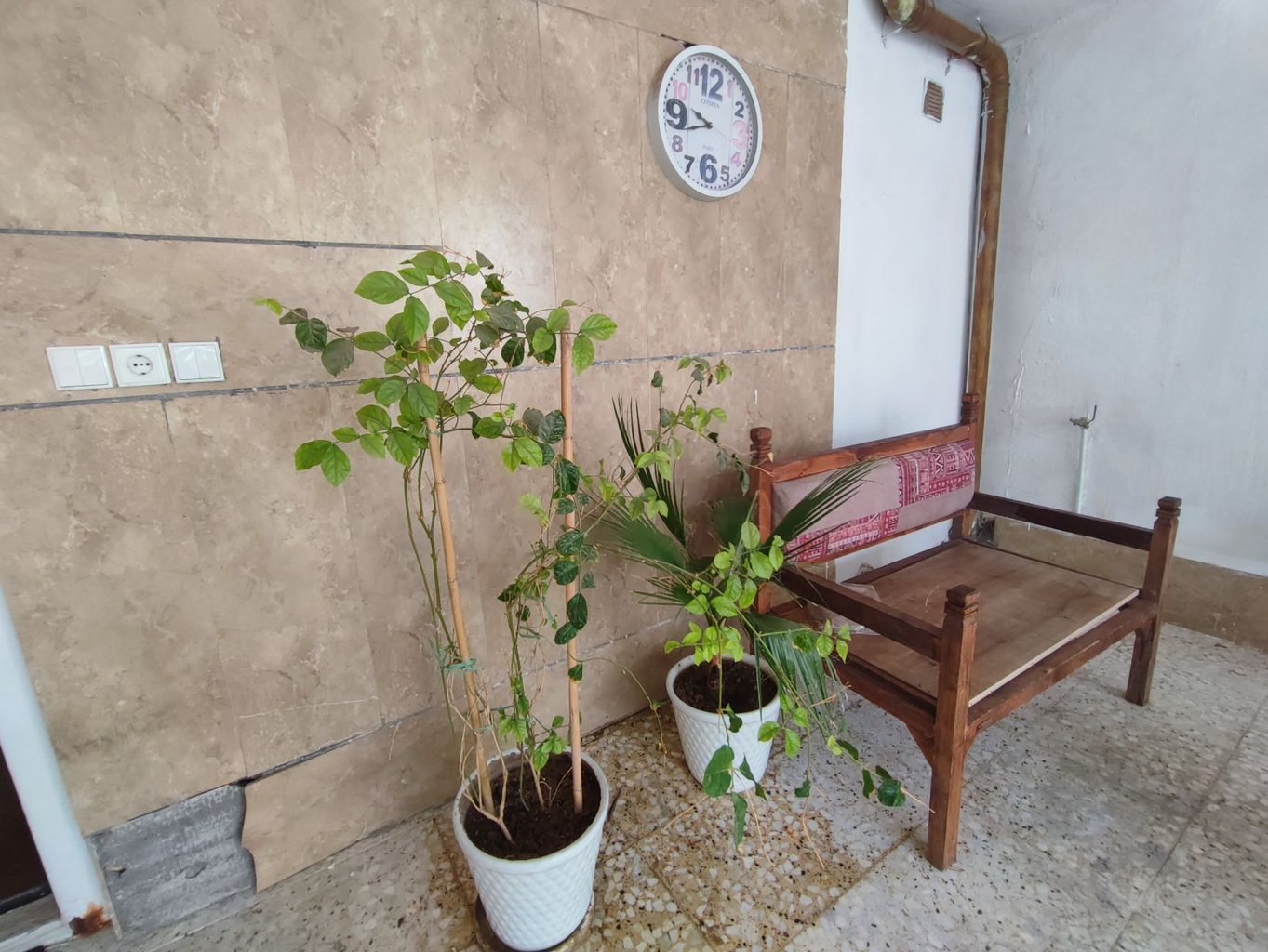 دوخوابه آرامش زیتون