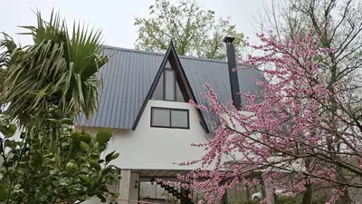 کلبه دوخوابه سوئیسی پناه