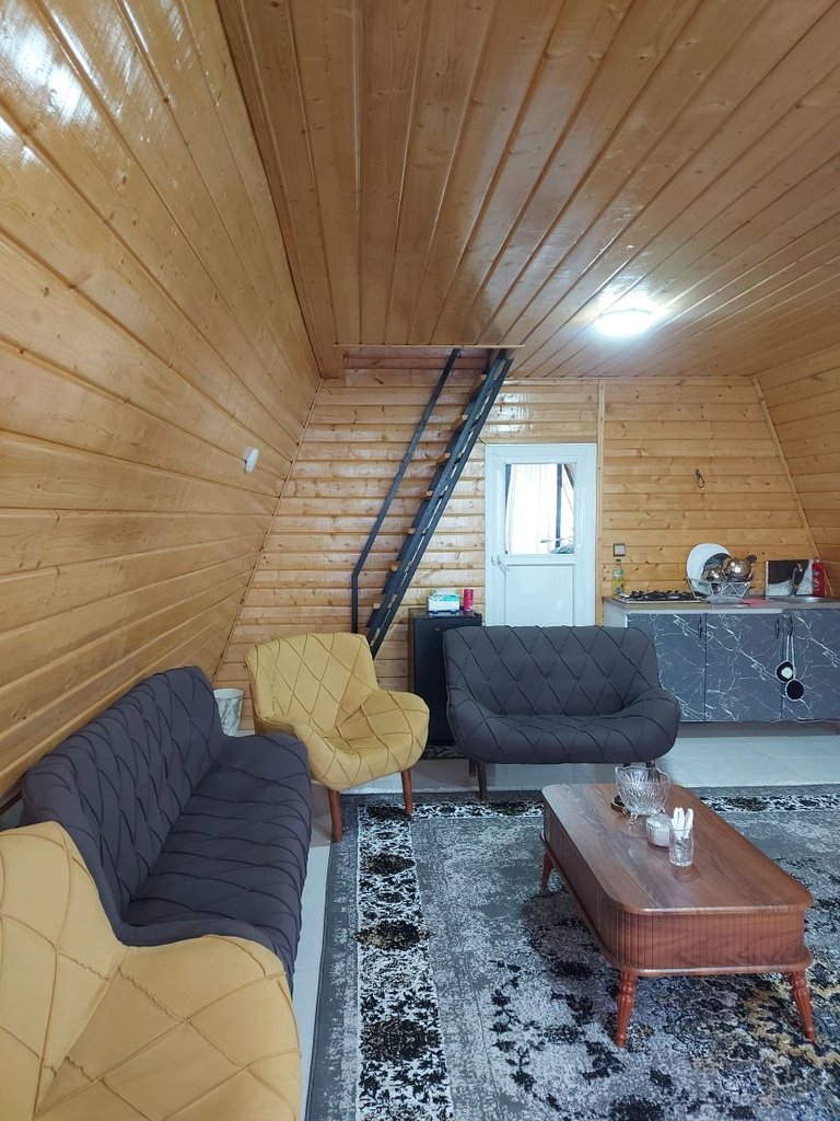 کلبه یک خوابه سوئیسی دیار 1