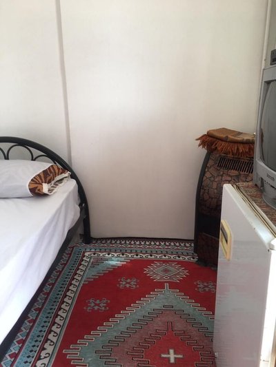 بومگردی ترنج - واحد نخل