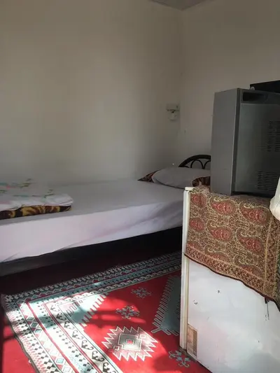 بومگردی ترنج - واحد نخل