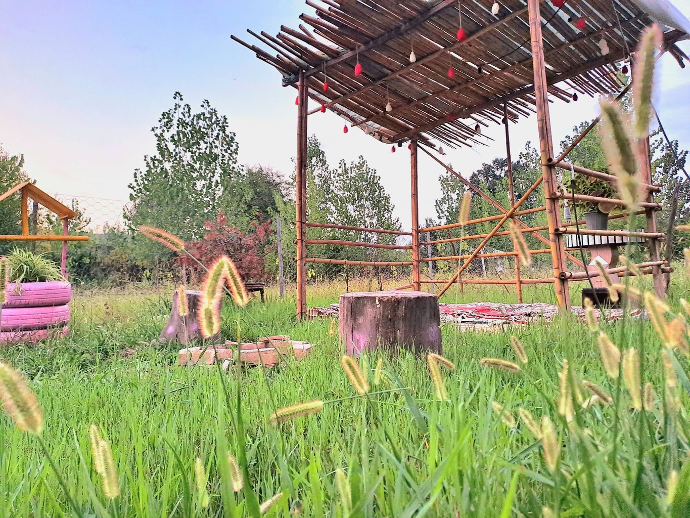 یک خوابه یاسم