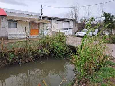 سوئیت یک خوابه جیرجیرک