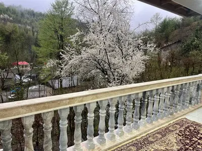 ویلا یک خوابه جنگلی ورنا